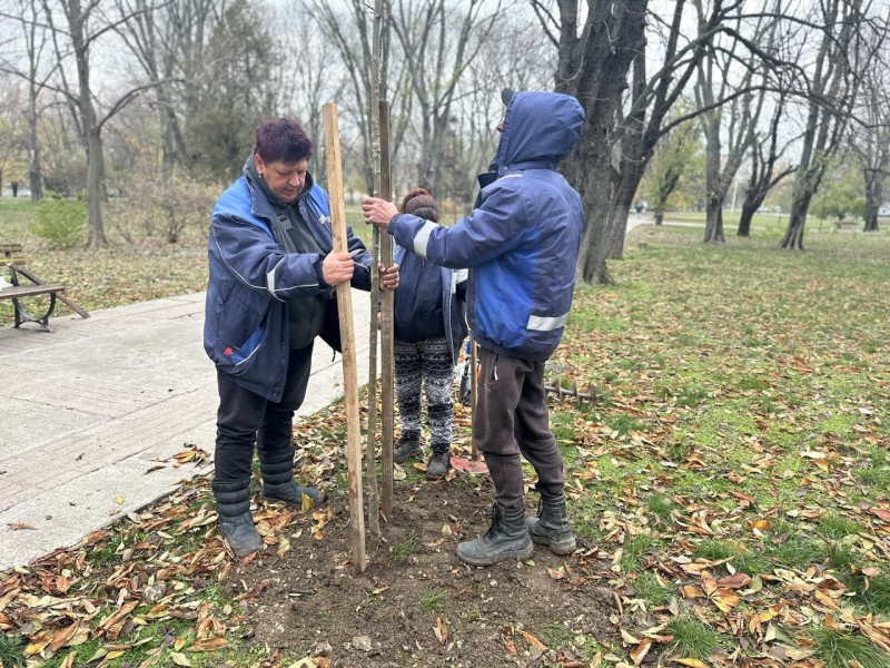 Нови 20 дръвчета бяха засадени в Парка на възрожденците