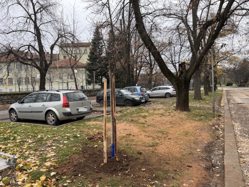 Още 30 нови дръвчета обогатяват зелените пространства в Парка на младежта